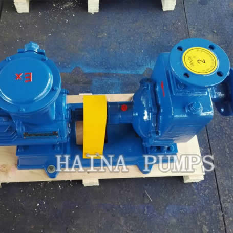 Explosion-proof pump