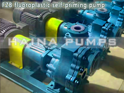 FZB fluoroplastic self-priming pump