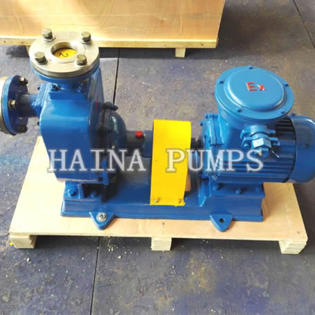 Gasoline Transfer Pump