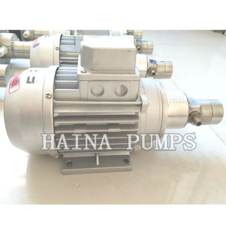 Mini gear pump GM type