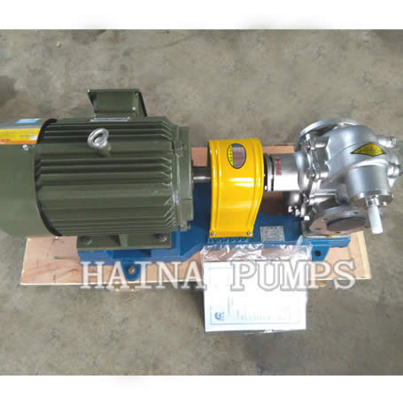 Stainless Steel Gear Pump SS gear pump KCB200 KCB300 CHINA
