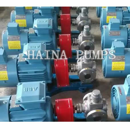 Stainless Steel Gear Pump SS gear pump YCB type