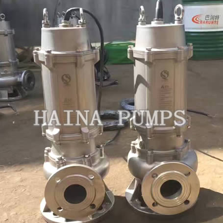 Stainless steel Submersible Water Pump